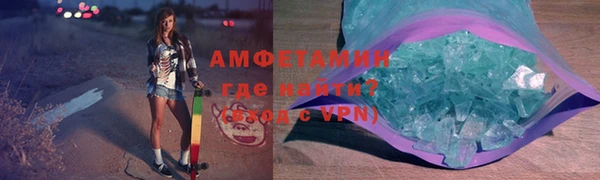 стаф Алзамай