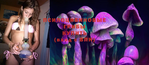 стаф Алзамай