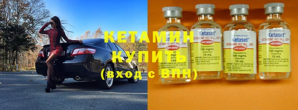 стаф Алзамай