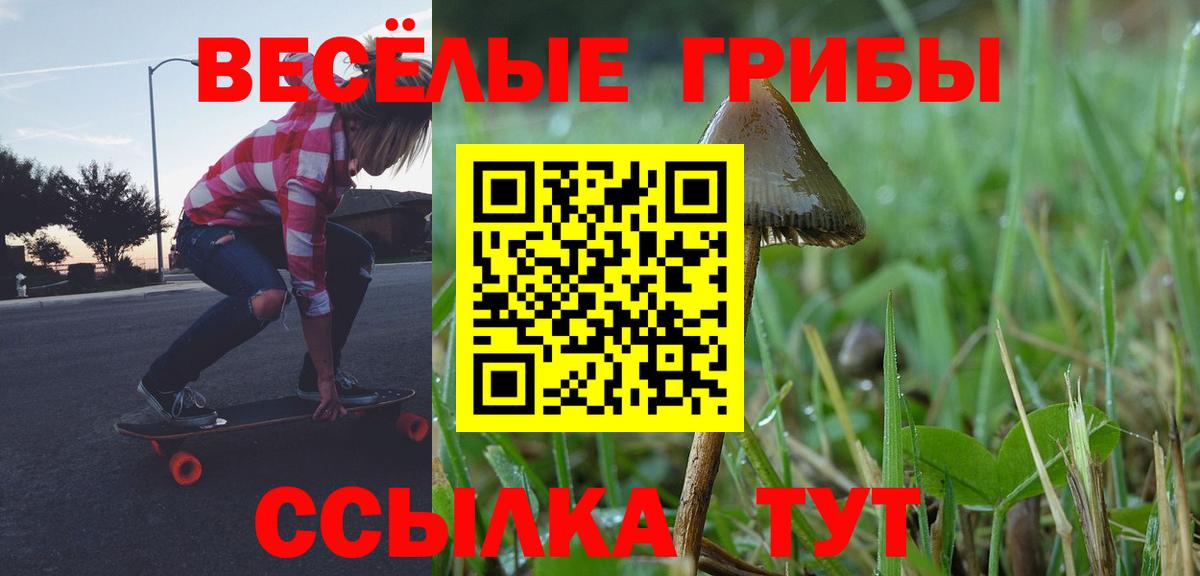 Галлюциногенные грибы Psilocybine cubensis Слободской
