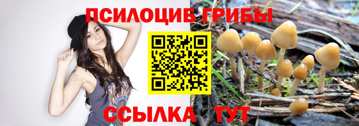 Галлюциногенные грибы GOLDEN TEACHER  Вход с VPN  Слободской 